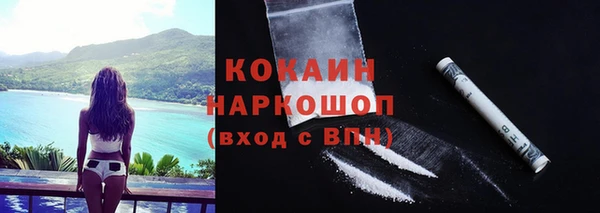 хмурый Абаза