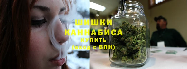 хмурый Абаза