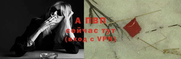 хмурый Абаза