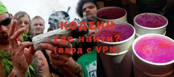 хмурый Абаза