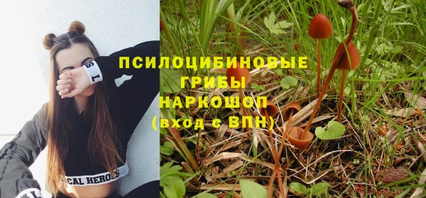 хмурый Абаза